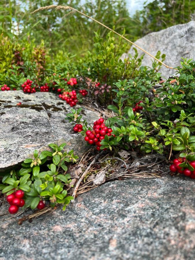 Appartamento Raemsbyns Fritidsby, Naera Romme Alpin Idkerberget Esterno foto
